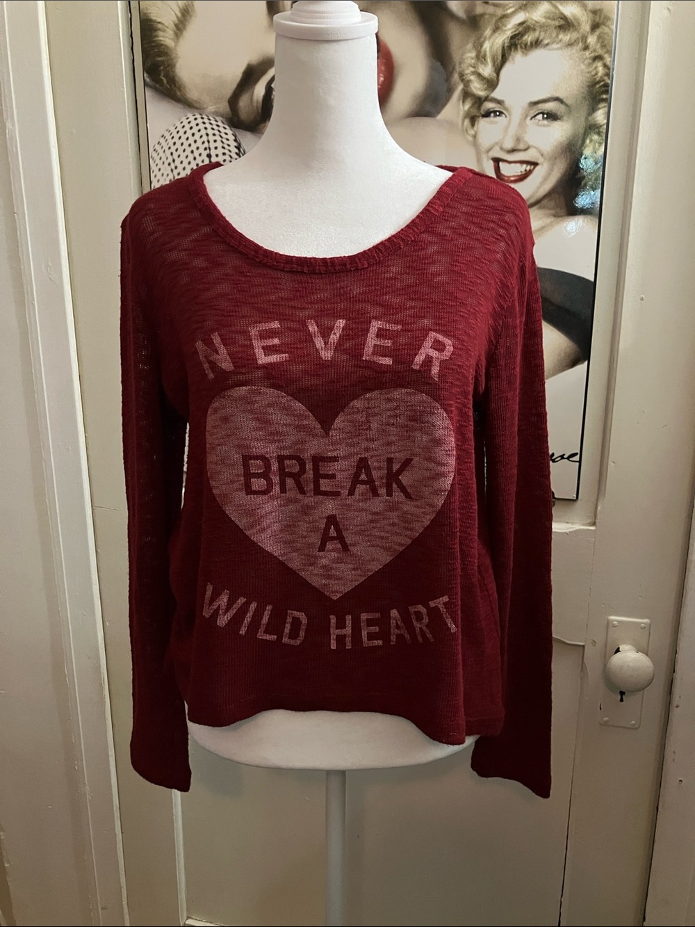 6/25$ Ardene Burgundy Graphic Sheer Knit Top